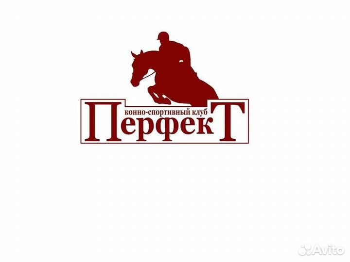 На конюшню, конюх/подсобник с проживанием