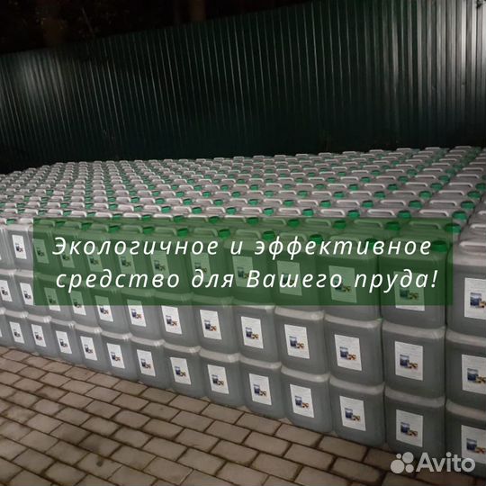 Хлорелла для водоемов, рыбы и с/х