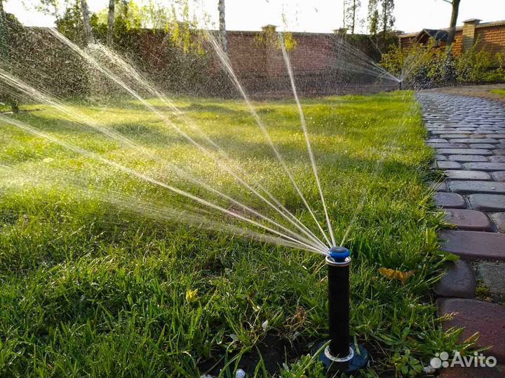 Укладка газона