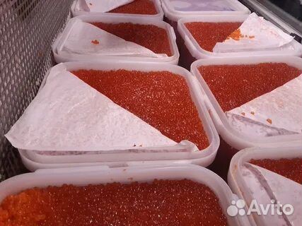 Дальневосточная Устрица, Камчатский краб, Гребешок