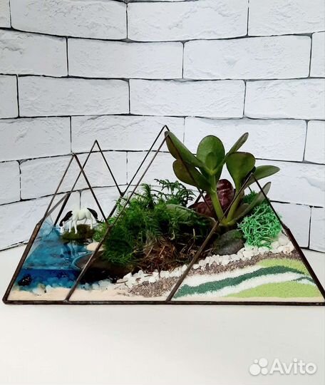 Флорариум, моссариум