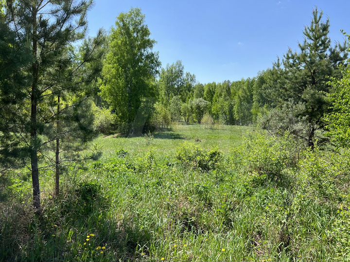 Участок 4,2 сот. (СНТ, ДНП)