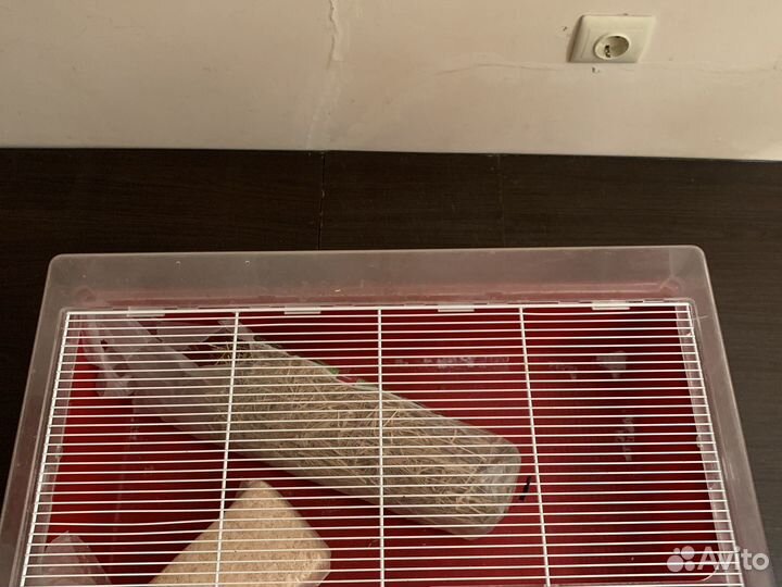 Клетка для грызунов большая