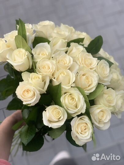 101 роза доставка. красные, белые, микс