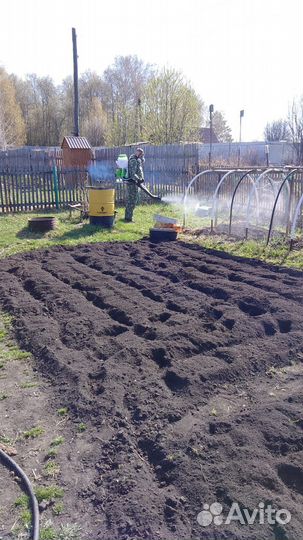 Уничтожение насекомых