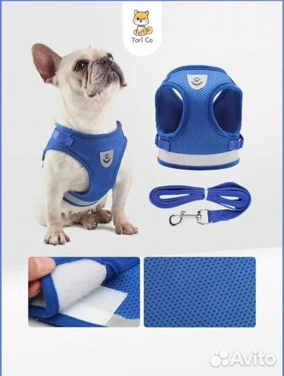 Шлейка для собак и кошек