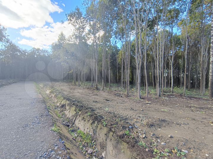 Участок 2,45 га (ИЖС)