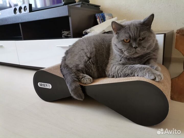 Когтеточка домик для кошки