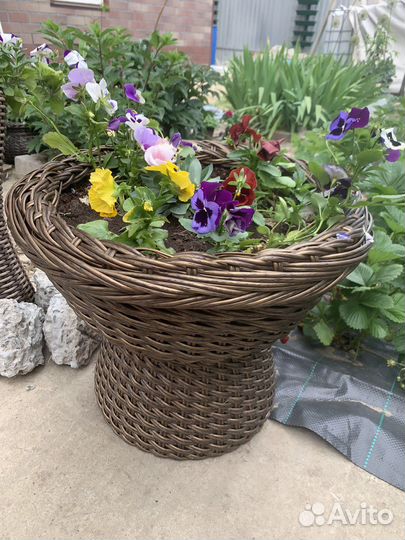 Кашпо для цветов