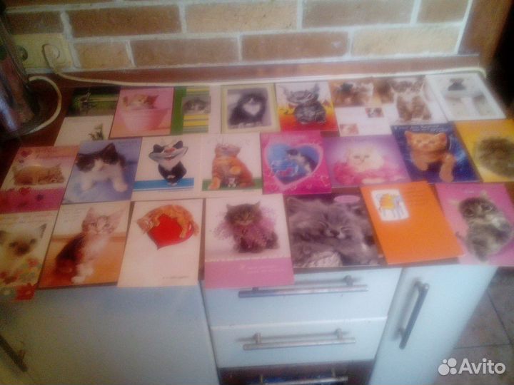 Открытки кошки новые