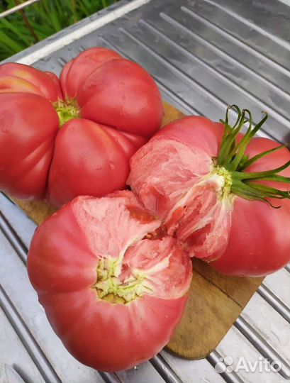 Помидоры семена