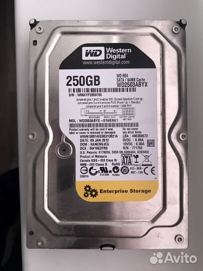 Жесткий диск Western Digital WD2503abyx