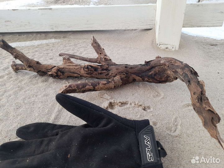 Коряга в террариум