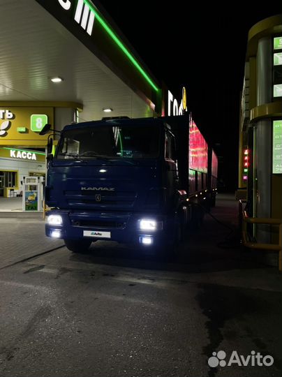 КАМАЗ 65117, 2010