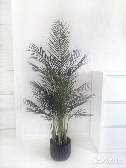 Искусственные растения, цветы, деревья