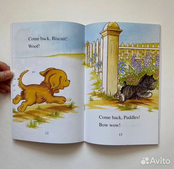 Новые книги для детей BiscuitI Can Read