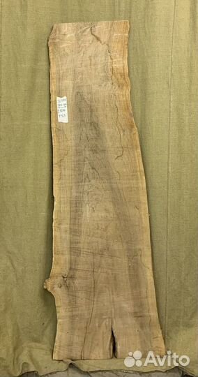 Слэб карагача