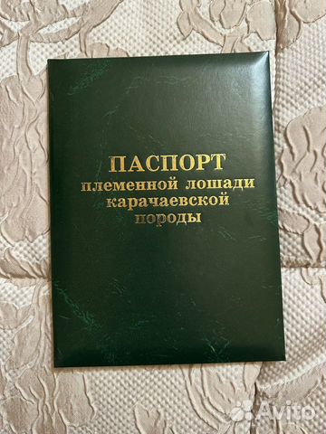 Карачаевский жеребец объявление продам