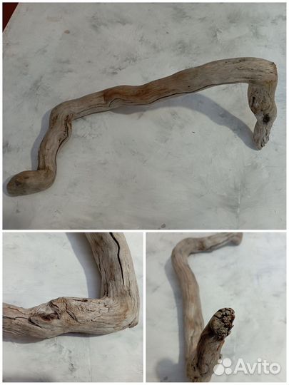 Коряги для интерьера