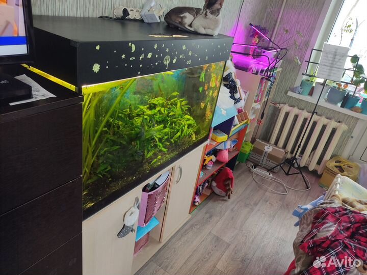 Аквариум 220л