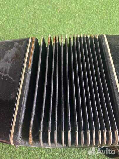 Баян (вологодская фабрика)