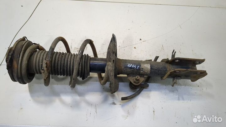 Амортизатор подвески Nissan Juke, 2011