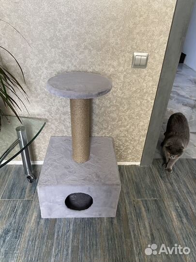 Домик когтеточка