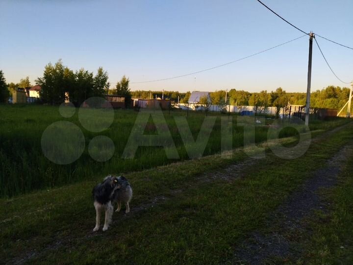 Участок 8 сот. (СНТ, ДНП)