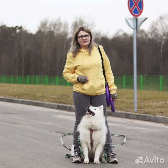 Погуляю с вашей собакой ЖК Красногорский/Малина