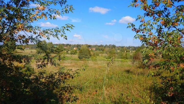 Участок 9,9 сот. (ИЖС)