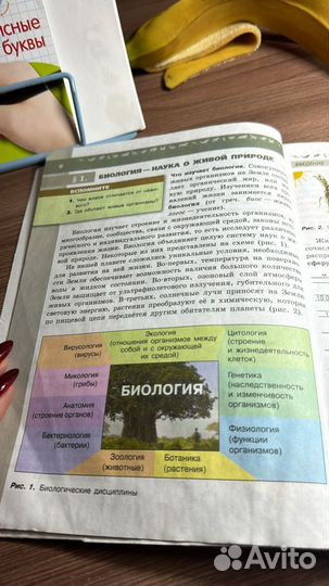 Учебник биологии 5-6 пасечник