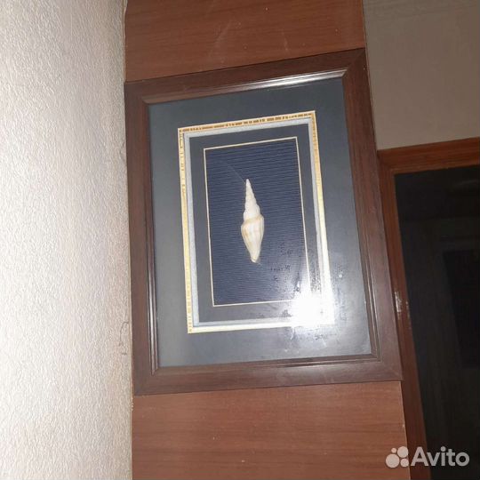 Панно с ракушкой