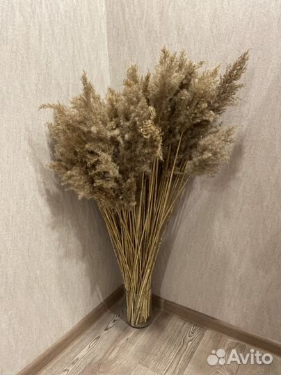 Букет из сухоцветов