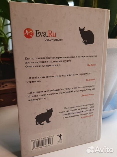 Уличный кот по имени Боб