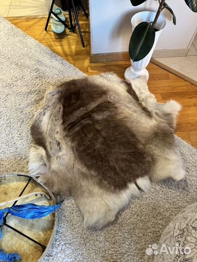 Шкура оленя натуральная