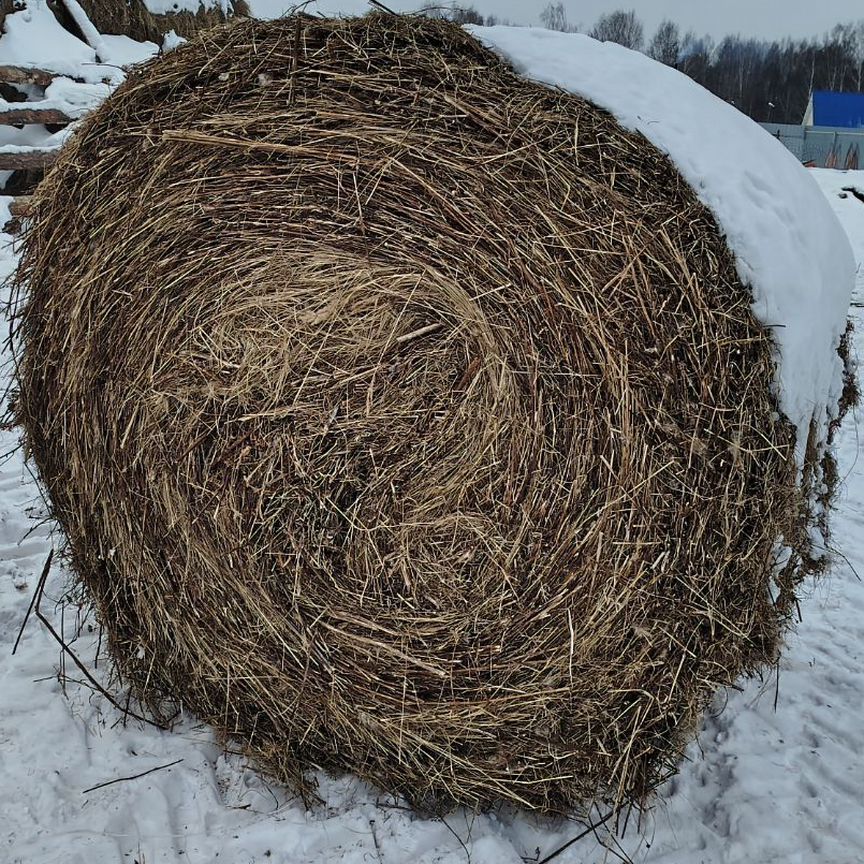 Сено в рулонах