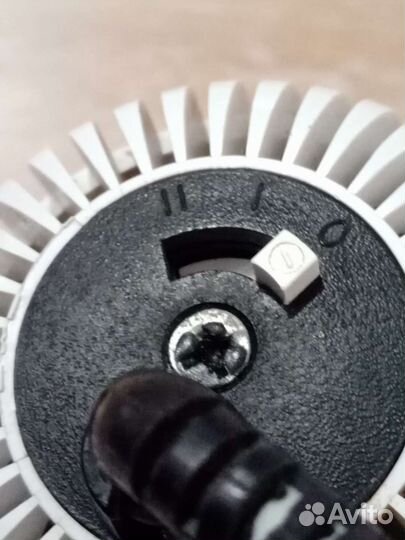 Фен алеся советский. СССР