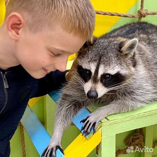 Аниматоры Пенное шоу Химия Бумага Фокусник Пузыри