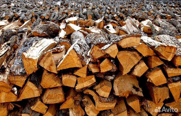 Дрова лиственных пород