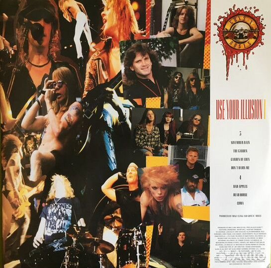 Виниловая пластинка Guns N' Roses, Use Your Illusi
