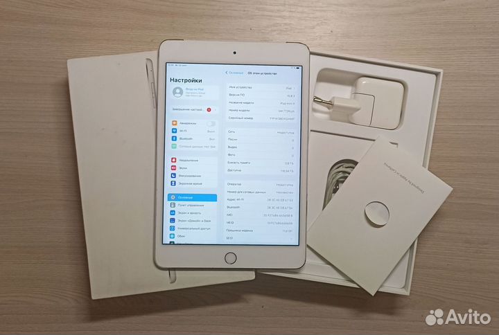 iPad mini 4 128gb cellular