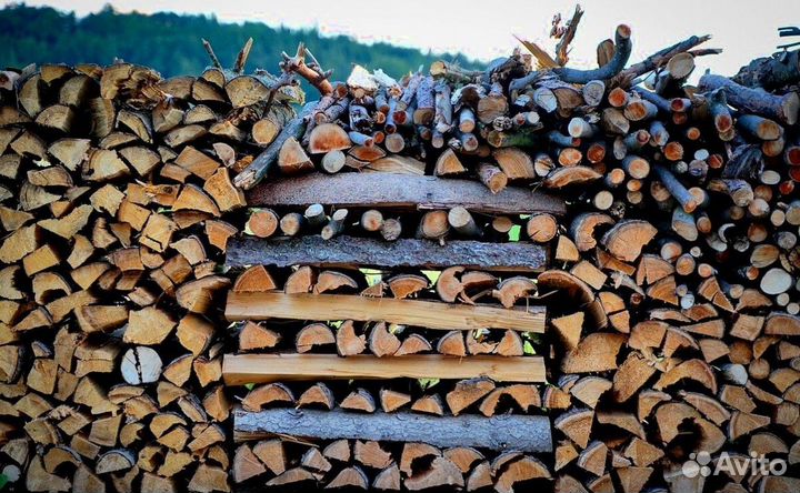 Дрова подсушенные