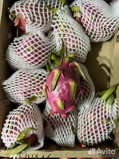 Овощи фрукты