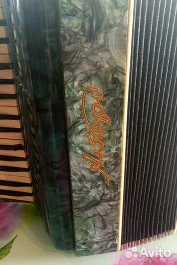 Аккордеон с футляром