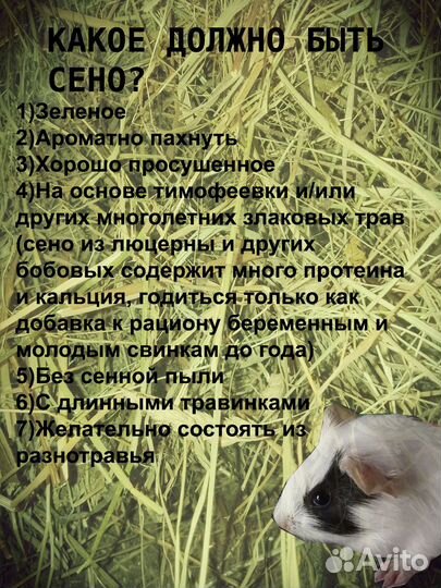 Сено луговое для свинок, кроликов, шиншилл