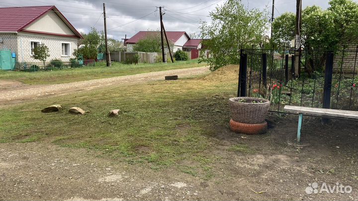 Покос травы триммером