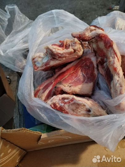 Корм для животных