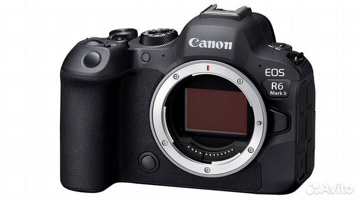 Canon EOS R 6 II body