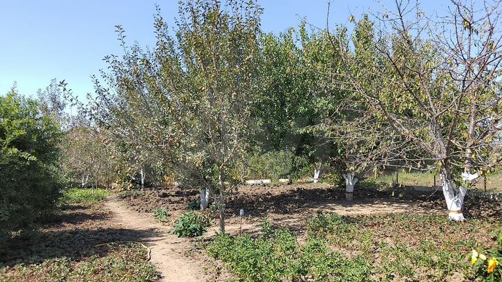 Дом 83 м² на участке 13 сот.