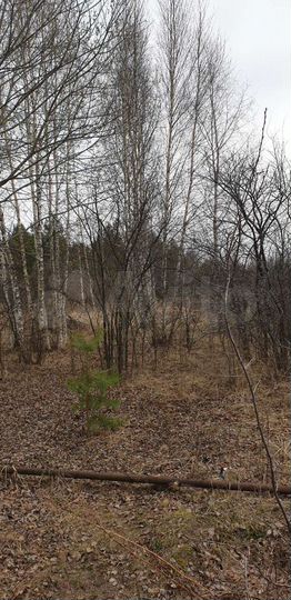 Участок 10 сот. (СНТ, ДНП)